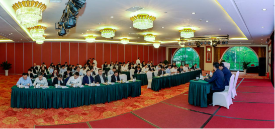 省6008集团官方网站集团开办“1363”战略专题钻研班